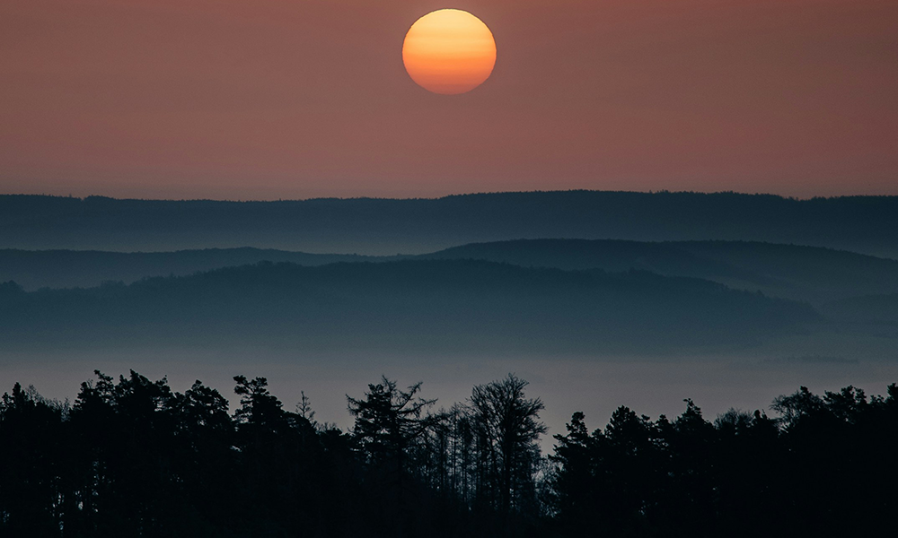 Sunset over a forest.